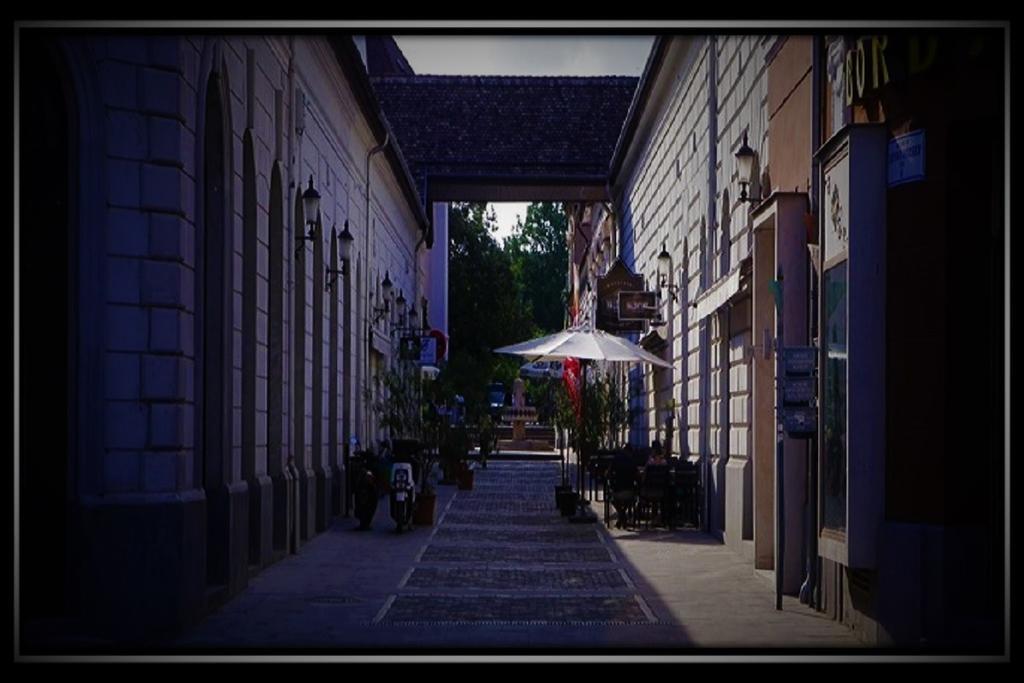 Happy Colours In Old Town Apartment Kecskemet Luaran gambar